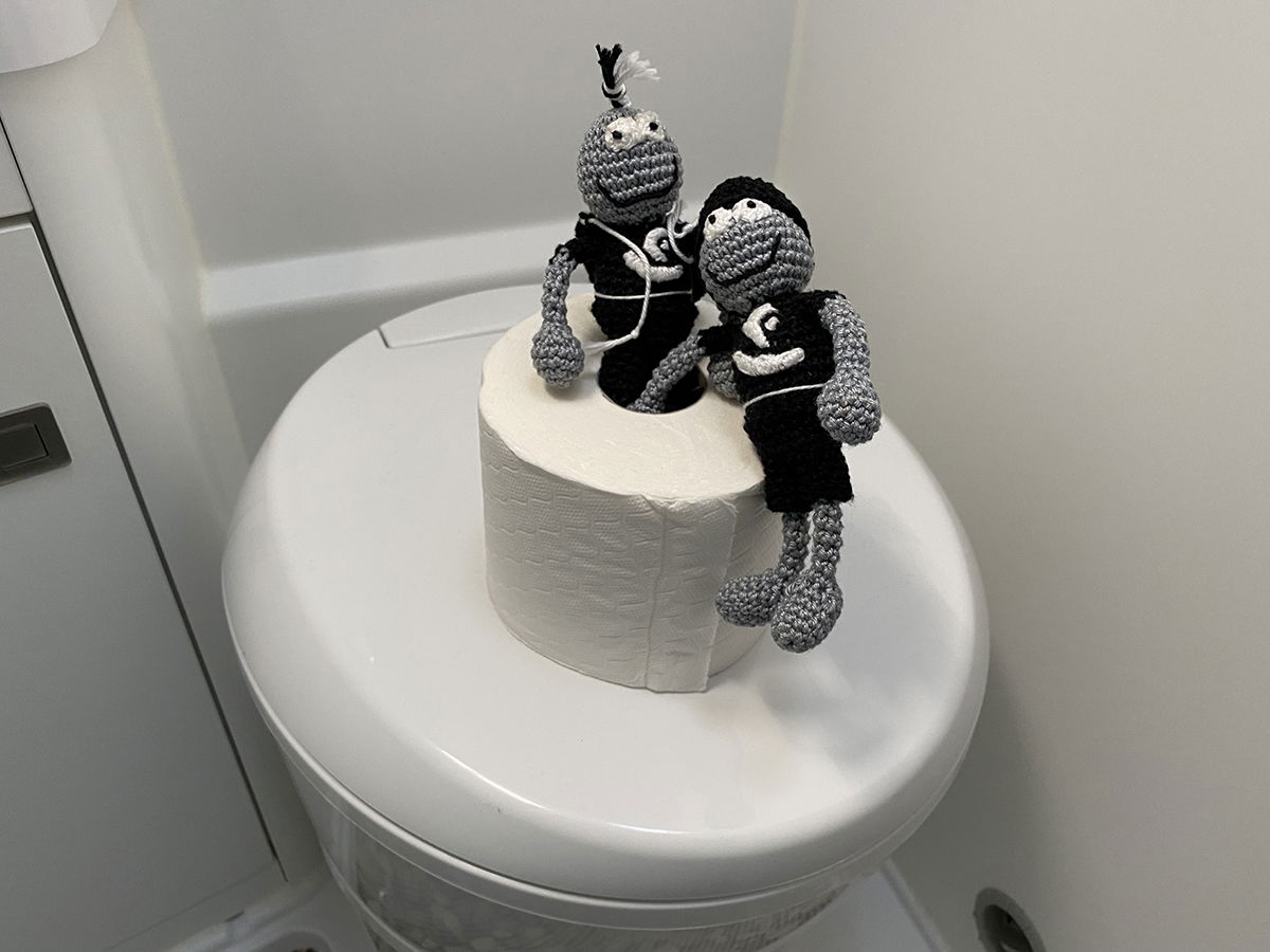 Wohnmobil Toilette leeren